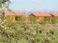 Vinyols Camp Ecoagriculltura